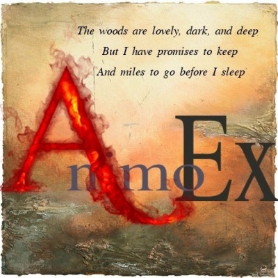 AnimoEx