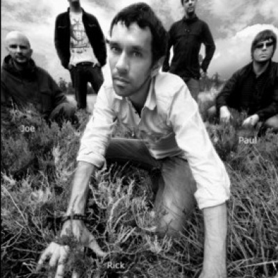 shed seven