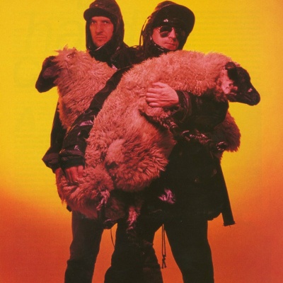 The KLF