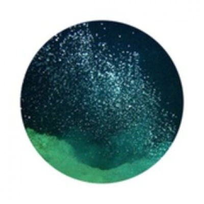 Balam Acab资料,Balam Acab最新歌曲,Balam AcabMV视频,Balam Acab音乐专辑,Balam Acab好听的歌