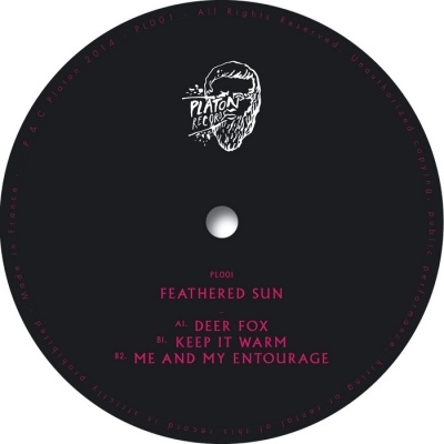 FEATHERED SUN