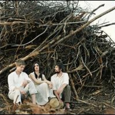 bowerbirds资料,bowerbirds最新歌曲,bowerbirdsMV视频,bowerbirds音乐专辑,bowerbirds好听的歌