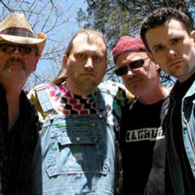 Hayseed Dixie