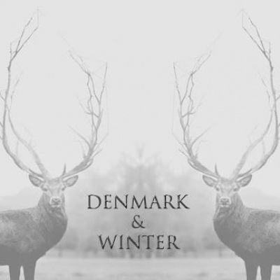 Denmark + Winter