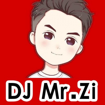 DJ Mr.Zi