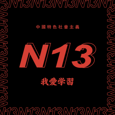 N13