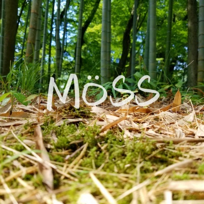 MöSS（阿脏）