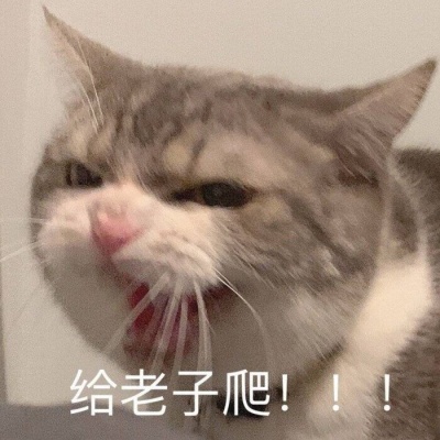 呆呆の怕卡其资料,呆呆の怕卡其最新歌曲,呆呆の怕卡其MV视频,呆呆の怕卡其音乐专辑,呆呆の怕卡其好听的歌