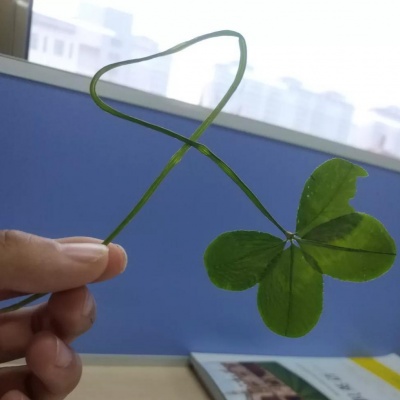 默小白资料,默小白最新歌曲,默小白MV视频,默小白音乐专辑,默小白好听的歌