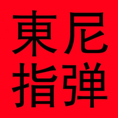 东尼指弹