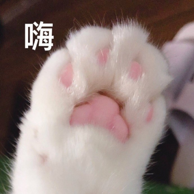 笛子不打折资料,笛子不打折最新歌曲,笛子不打折MV视频,笛子不打折音乐专辑,笛子不打折好听的歌