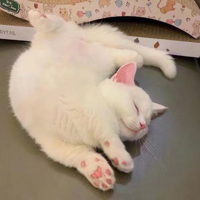 左眼鸭资料,左眼鸭最新歌曲,左眼鸭MV视频,左眼鸭音乐专辑,左眼鸭好听的歌