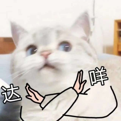 猫菌