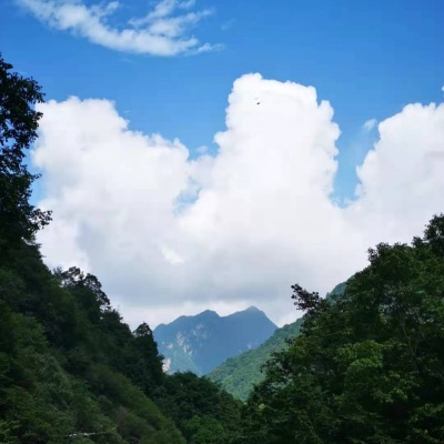 山