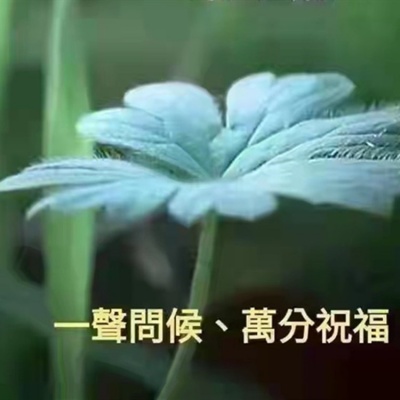 虾仁资料,虾仁最新歌曲,虾仁MV视频,虾仁音乐专辑,虾仁好听的歌