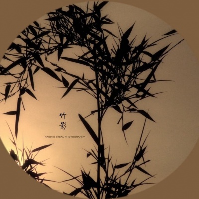 马永康资料,马永康最新歌曲,马永康MV视频,马永康音乐专辑,马永康好听的歌