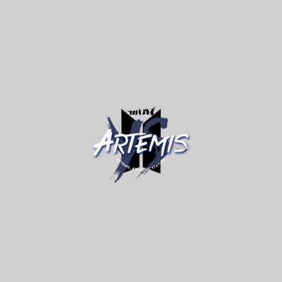 Artemis_BTS