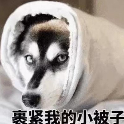 猪憨憨n