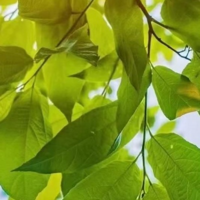 之璞资料,之璞最新歌曲,之璞MV视频,之璞音乐专辑,之璞好听的歌