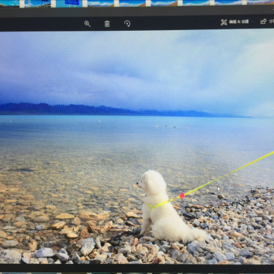 赵荣资料,赵荣最新歌曲,赵荣MV视频,赵荣音乐专辑,赵荣好听的歌