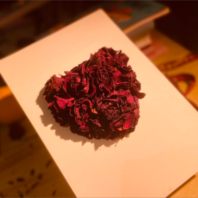 古筝沁芸资料,古筝沁芸最新歌曲,古筝沁芸MV视频,古筝沁芸音乐专辑,古筝沁芸好听的歌