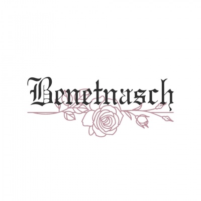 摇光Benetnasch资料,摇光Benetnasch最新歌曲,摇光BenetnaschMV视频,摇光Benetnasch音乐专辑,摇光Benetnasch好听的歌