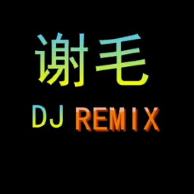 啊毛DJ音乐工作室