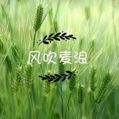 风吹麦浪资料,风吹麦浪最新歌曲,风吹麦浪MV视频,风吹麦浪音乐专辑,风吹麦浪好听的歌