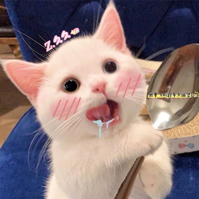 久久资料,久久最新歌曲,久久MV视频,久久音乐专辑,久久好听的歌