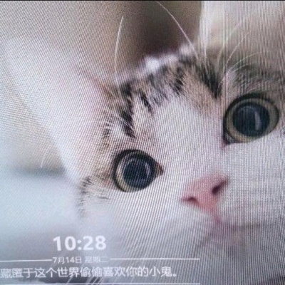 东方洲资料,东方洲最新歌曲,东方洲MV视频,东方洲音乐专辑,东方洲好听的歌
