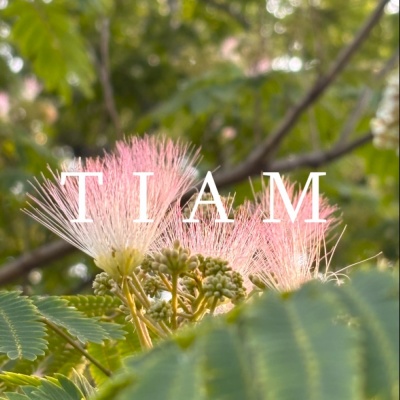 天幕Tiam资料,天幕Tiam最新歌曲,天幕TiamMV视频,天幕Tiam音乐专辑,天幕Tiam好听的歌
