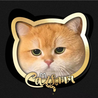 CAT.肉丸资料,CAT.肉丸最新歌曲,CAT.肉丸MV视频,CAT.肉丸音乐专辑,CAT.肉丸好听的歌