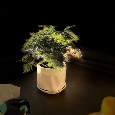 深海的海洋资料,深海的海洋最新歌曲,深海的海洋MV视频,深海的海洋音乐专辑,深海的海洋好听的歌