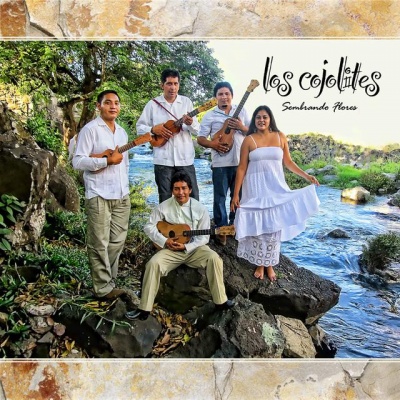 los cojolites资料,los cojolites最新歌曲,los cojolitesMV视频,los cojolites音乐专辑,los cojolites好听的歌