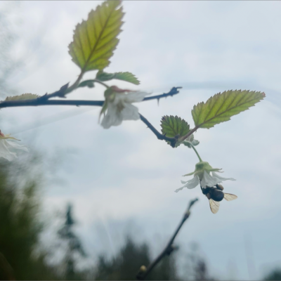 樟辛辛资料,樟辛辛最新歌曲,樟辛辛MV视频,樟辛辛音乐专辑,樟辛辛好听的歌