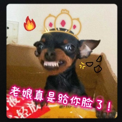 Fanxi曦资料,Fanxi曦最新歌曲,Fanxi曦MV视频,Fanxi曦音乐专辑,Fanxi曦好听的歌