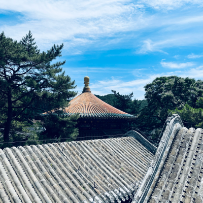 王昕资料,王昕最新歌曲,王昕MV视频,王昕音乐专辑,王昕好听的歌