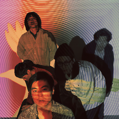 鸟撞