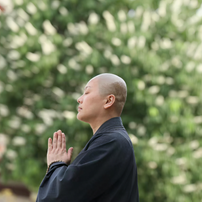善乐法师资料,善乐法师最新歌曲,善乐法师MV视频,善乐法师音乐专辑,善乐法师好听的歌