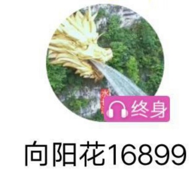 向阳花