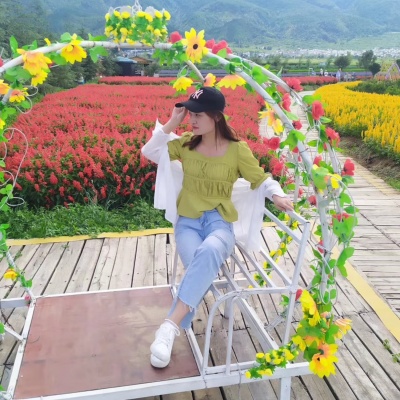 一朵小红花资料,一朵小红花最新歌曲,一朵小红花MV视频,一朵小红花音乐专辑,一朵小红花好听的歌