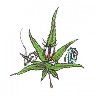 WEEDMANE资料,WEEDMANE最新歌曲,WEEDMANEMV视频,WEEDMANE音乐专辑,WEEDMANE好听的歌