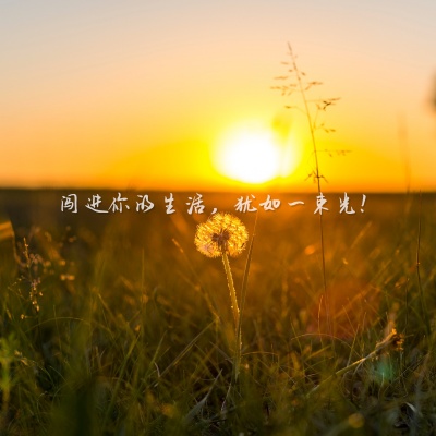 王闯