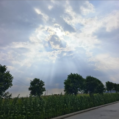 下园带刺的玫瑰资料,下园带刺的玫瑰最新歌曲,下园带刺的玫瑰MV视频,下园带刺的玫瑰音乐专辑,下园带刺的玫瑰好听的歌