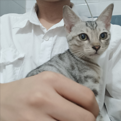 十亿岁的小年轻