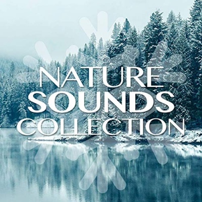 Nature Sound Collection资料,Nature Sound Collection最新歌曲,Nature Sound CollectionMV视频,Nature Sound Collection音乐专辑,Nature Sound Collection好听的歌