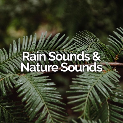 Rain Sounds & Nature Sounds资料,Rain Sounds & Nature Sounds最新歌曲,Rain Sounds & Nature SoundsMV视频,Rain Sounds & Nature Sounds音乐专辑,Rain Sounds & Nature Sounds好听的歌
