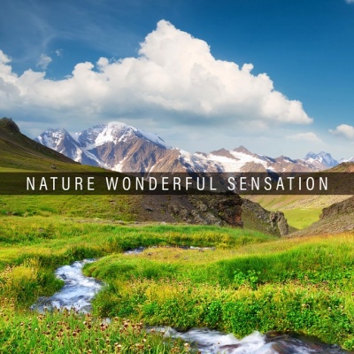 Nature Tribe资料,Nature Tribe最新歌曲,Nature TribeMV视频,Nature Tribe音乐专辑,Nature Tribe好听的歌