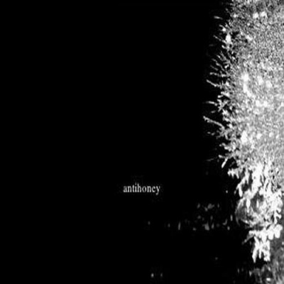 antihoney资料,antihoney最新歌曲,antihoneyMV视频,antihoney音乐专辑,antihoney好听的歌