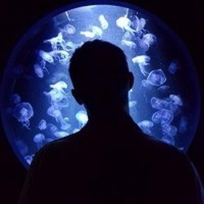 Kazam资料,Kazam最新歌曲,KazamMV视频,Kazam音乐专辑,Kazam好听的歌
